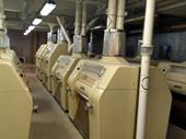 wheat flour mill brazil